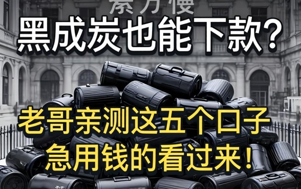 征信黑成炭也能下款？老哥亲测这五个口子，急用钱的看过来！