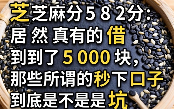 我芝麻分582分居然真的借到了5000块，那些所谓的秒下口子到底是不是坑