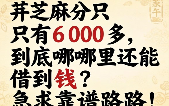 芝麻分只有600多，到底哪里还能借到钱？急求靠谱路子！