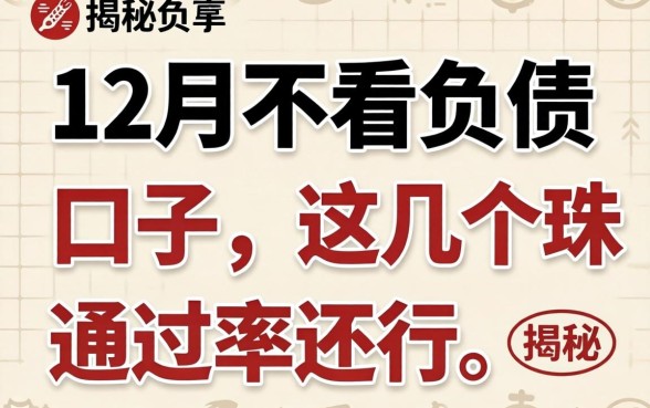 揭秘2026年12月不看负债的口子，这几个通过率还行