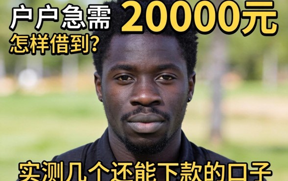 黑户急需2000元怎样借到？实测几个还能下款的口子