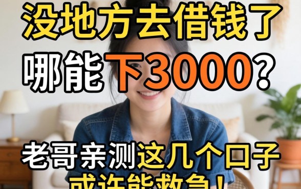 实在没地方去借钱了哪能下3000？老哥亲测这几个口子或许能救急！