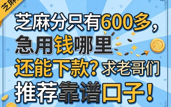 芝麻分只有600多，急用钱哪里还能下款？求老哥们推荐靠谱口子！