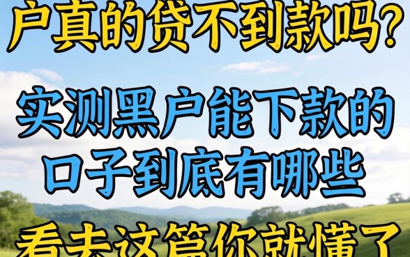黑户真的贷不到款吗？实测黑户能下款的口子到底有哪些？看完这篇你就懂了