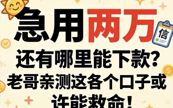 征信黑户急用两万,还有哪里能下款?老哥亲测这几个口子或许能救命!