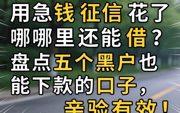 急用钱征信花了哪里还能借?盘点五个黑户也能下款的口子,亲测有效!