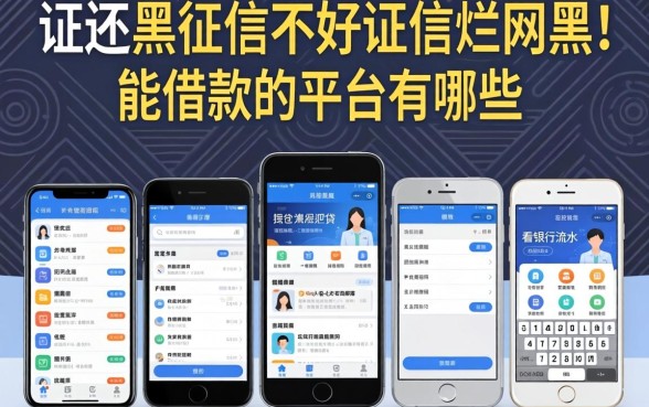 征信黑征信不好征信烂网黑能借款的平台有哪些,汇总五个看银行流水的网贷软件