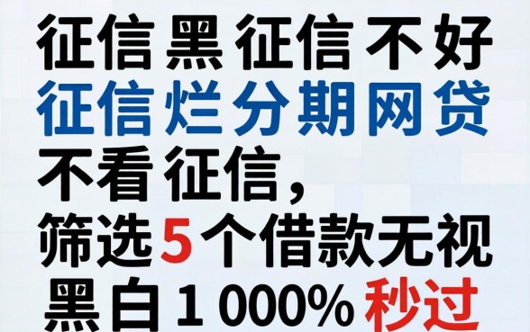 征信黑征信不好征信烂分期网贷不看征信,筛选5个借款无视黑白100%秒过