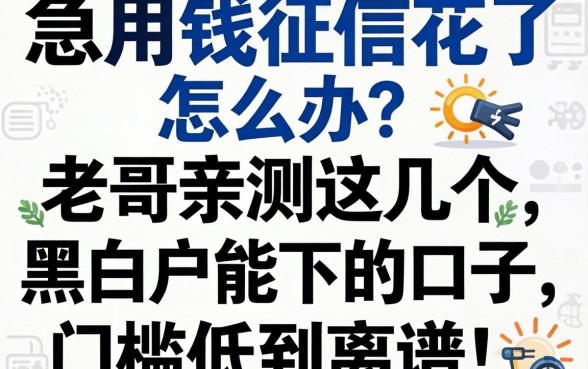 急用钱征信花了怎么办？老哥亲测这几个黑白户能下的口子，门槛低到离谱！