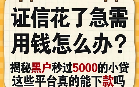 征信花了急需用钱怎么办？揭秘黑户秒过5000的小贷，这些平台真的能下款吗？