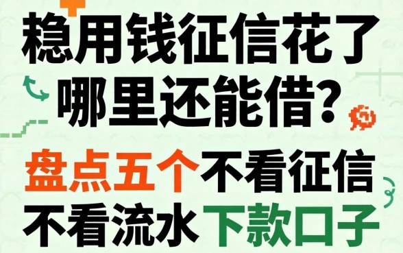 急用钱征信花了哪里还能借?盘点五个不看征信不看流水的下款口子