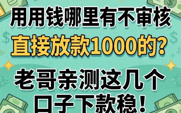 急用钱哪里有不审核直接放款1000的？老哥亲测这几个口子下款稳！