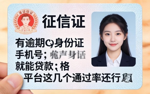 揭秘征信有逾期身份证手机号就能贷款的平台,这几个通过率还行