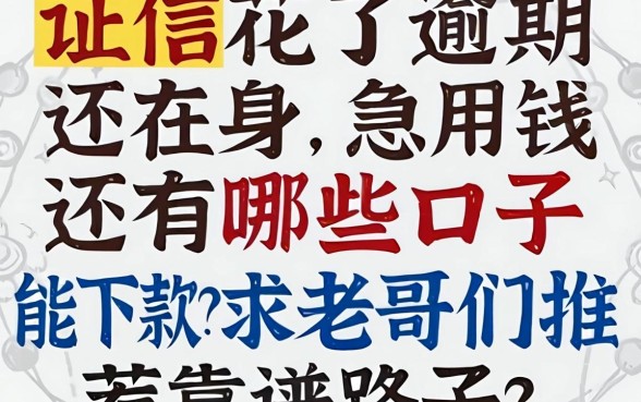 征信花了逾期还在身,急用钱还有哪些口子能下款?求老哥们推荐靠谱路子!