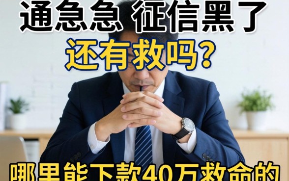 急急急！征信黑了还有救吗？哪里能下款40万救命的？