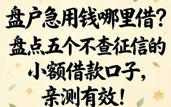 黑户急用钱哪里借？盘点五个不查征信的小额借款口子，亲测有效！