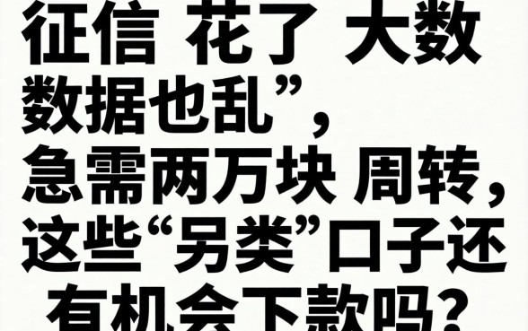 征信花了大数据也乱，急需两万块周转，这些“另类”口子还有机会下款吗？