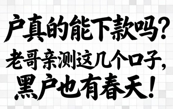 无视黑白户真的能下款吗?老哥亲测这几个口子,黑户也有春天!