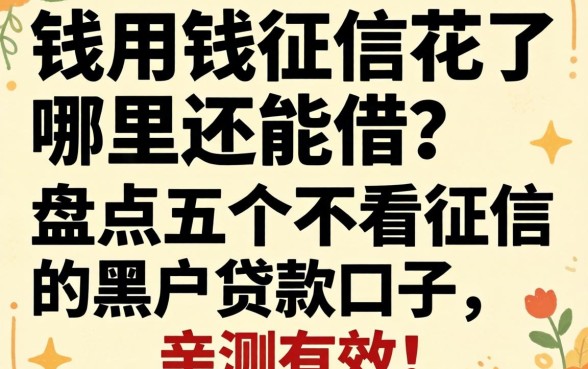 急用钱征信花了哪里还能借？盘点五个不看征信的黑户贷款口子，亲测有效！