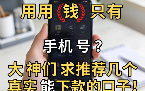 急用钱只有手机号？大神们求推荐几个真实能下款的口子！
