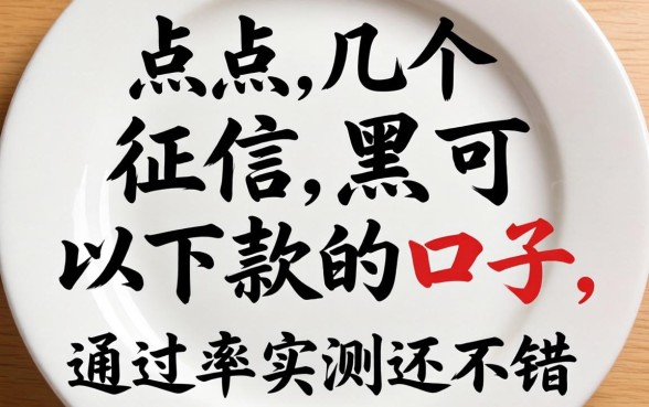 盘点几个征信黑可以下款的口子,通过率实测还不错