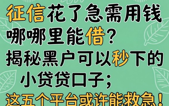 征信花了急需用钱哪里能借？揭秘黑户可以秒下的小贷口子，这五个平台或许能救急！