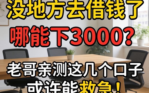 实在没地方去借钱了哪能下3000？老哥亲测这几个口子或许能救急！