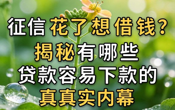征信花了想借钱？揭秘有哪些贷款容易下款的真实内幕