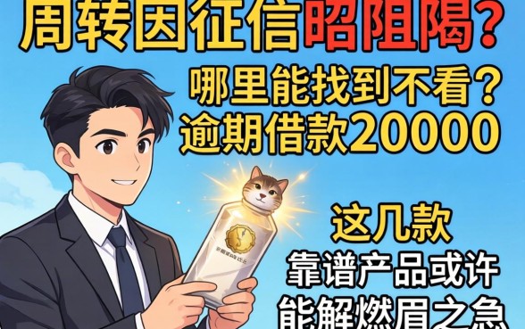 急需周转却因征信受阻？哪里能找到不看逾期借款20000的平台？这几款靠谱产品或许能解燃眉之急