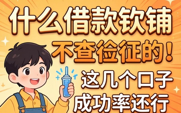 揭秘现在什么借款软件不查征信的，这几个口子成功率还行
