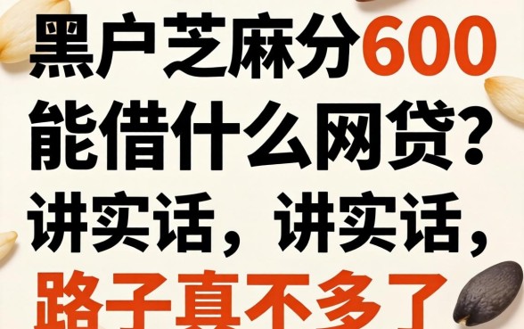 黑户芝麻分600能借什么网贷？说实话，路子真不多了