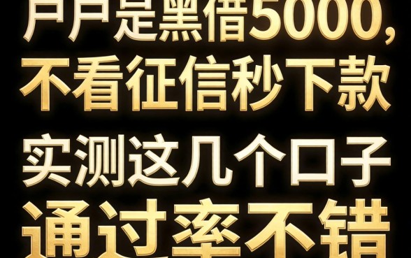 黑户借5000不看征信秒下款,实测这几个口子通过率不错