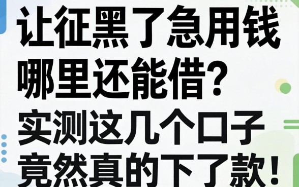征信黑了急用钱哪里还能借？实测这几个口子竟然真的下了款！