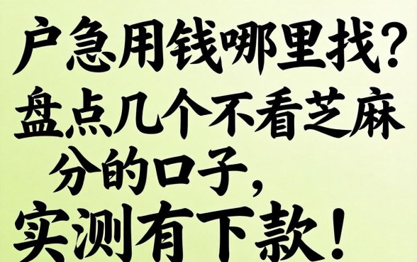 黑户急用钱哪里找？盘点几个不看芝麻分的口子，实测有下款！