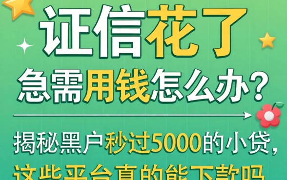 征信花了急需用钱怎么办？揭秘黑户秒过5000的小贷，这些平台真的能下款吗？