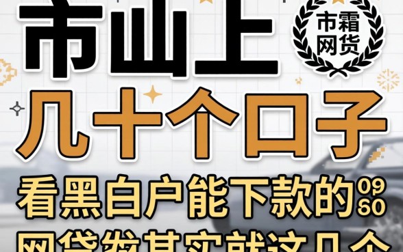 我试了市面上几十个口子，发现不看黑白户能下款的网贷其实就这几个