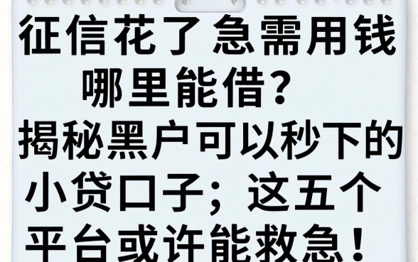 征信花了急需用钱哪里能借？揭秘黑户可以秒下的小贷口子，这五个平台或许能救急！