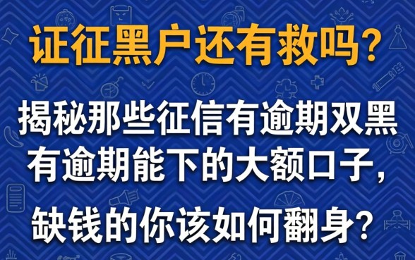 征信黑户还有救吗？揭秘那些征信有逾期双黑有逾期能下的大额口子，缺钱的你该如何翻身？