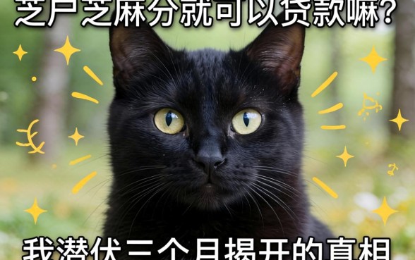 黑户芝麻分就可以贷款嘛？我潜伏三个月揭开的真相