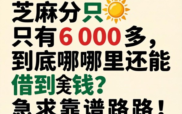 芝麻分只有600多，到底哪里还能借到钱？急求靠谱路子！