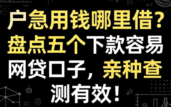 黑户急用钱哪里借？盘点五个下款容易的网贷口子，亲测有效！