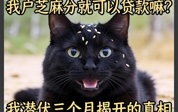黑户芝麻分就可以贷款嘛？我潜伏三个月揭开的真相