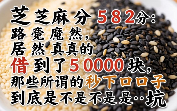 我芝麻分582分居然真的借到了5000块，那些所谓的秒下口子到底是不是坑