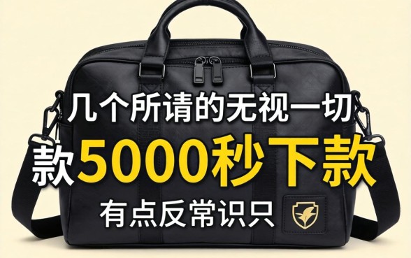 我试了几个所谓的无视一切包下款5000秒下款，结果有点反常识