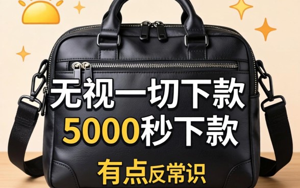 我试了几个所谓的无视一切包下款5000秒下款，结果有点反常识