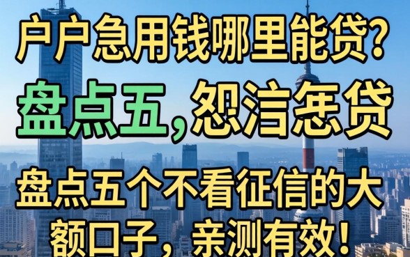 黑户急用钱哪里能贷？盘点五个不看征信的大额口子，亲测有效！