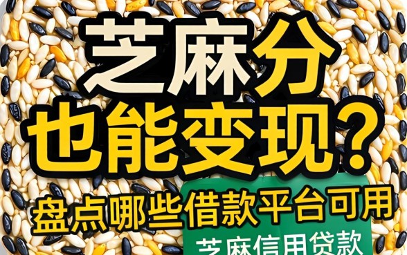 芝麻分也能变现？盘点哪些借款平台可以用芝麻信用贷款