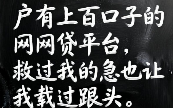 黑户有上百口子的网贷平台,救过我的急也让我栽过跟头
