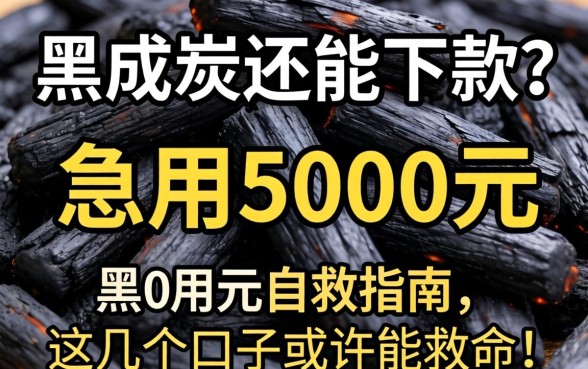 征信黑成炭还能下款？急用5000元自救指南，这几个口子或许能救命！