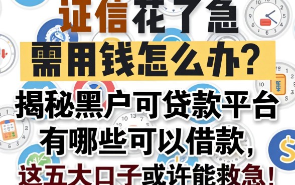 征信花了急需用钱怎么办？揭秘黑户可贷款平台有哪些可以借款，这五大口子或许能救急！